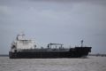 MR Sirius - Estuaire - 18 janvier 2014 (1).JPG